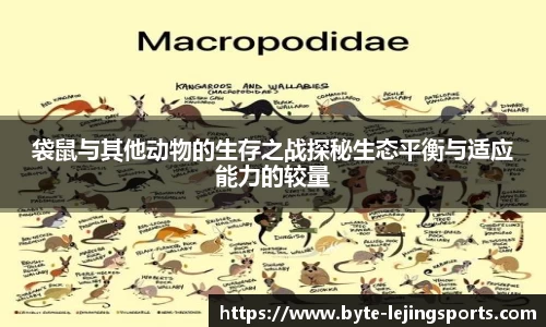 袋鼠与其他动物的生存之战探秘生态平衡与适应能力的较量